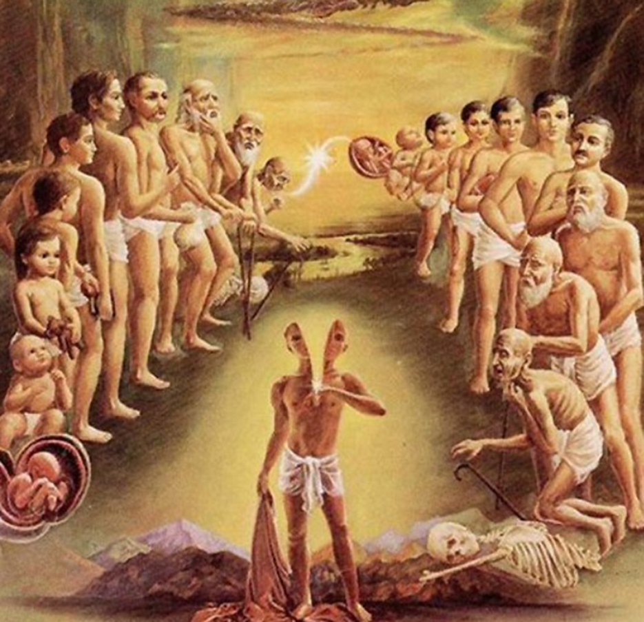 cai-gi-dan-dat-di-tai-sanh_na tien_mi tien van dap_4.jpg